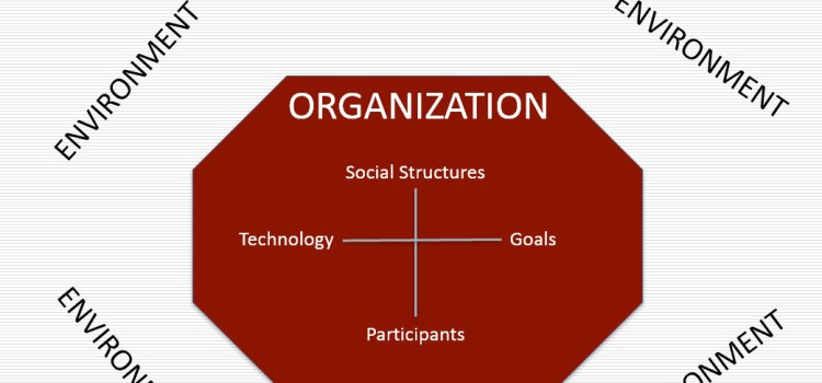 Qu’est-ce qu’une organisation ?   1 :  Composantes et décisions