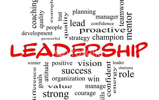Le leader = un profil d’activités
