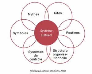 Impacts sur système culturel